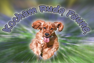 Walentynka dla zwierzaka