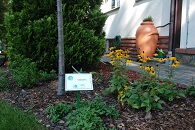  „Eko-Baza” w Kłodnicy