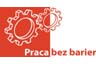 Wsparcie osób niepełnosprawnych ruchowo na rynku pracy