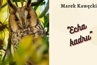 Wernisaż fotografii "Echa kadru"