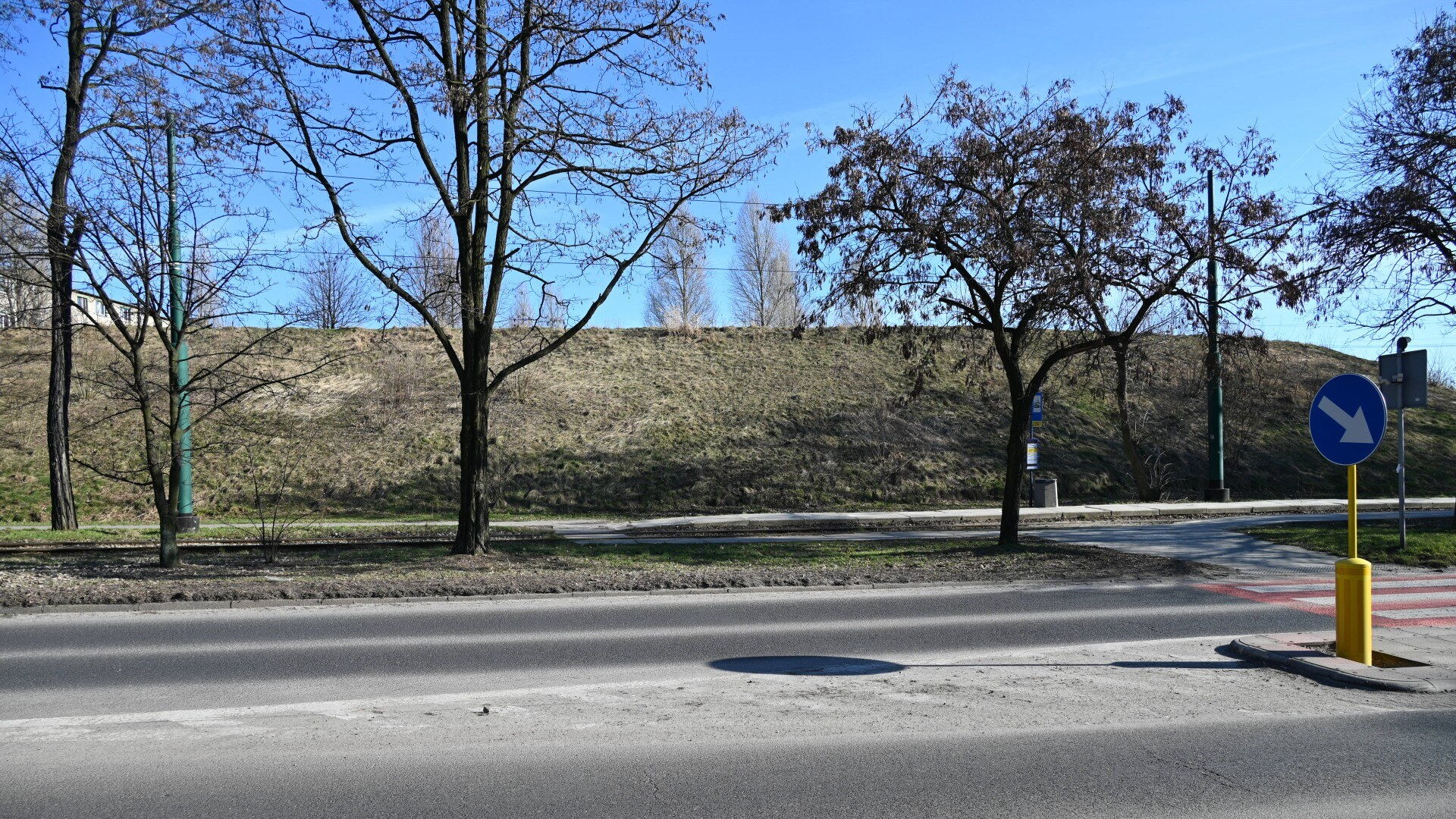 Jezdnia, przejśice dla pieszych, drzewa, toty tramwajowe, w tle porośnięta trawą hałda.