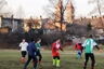 Noworoczne rugby