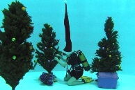 Rok Aquadromu