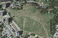 Plan na zieloną rewitalizację