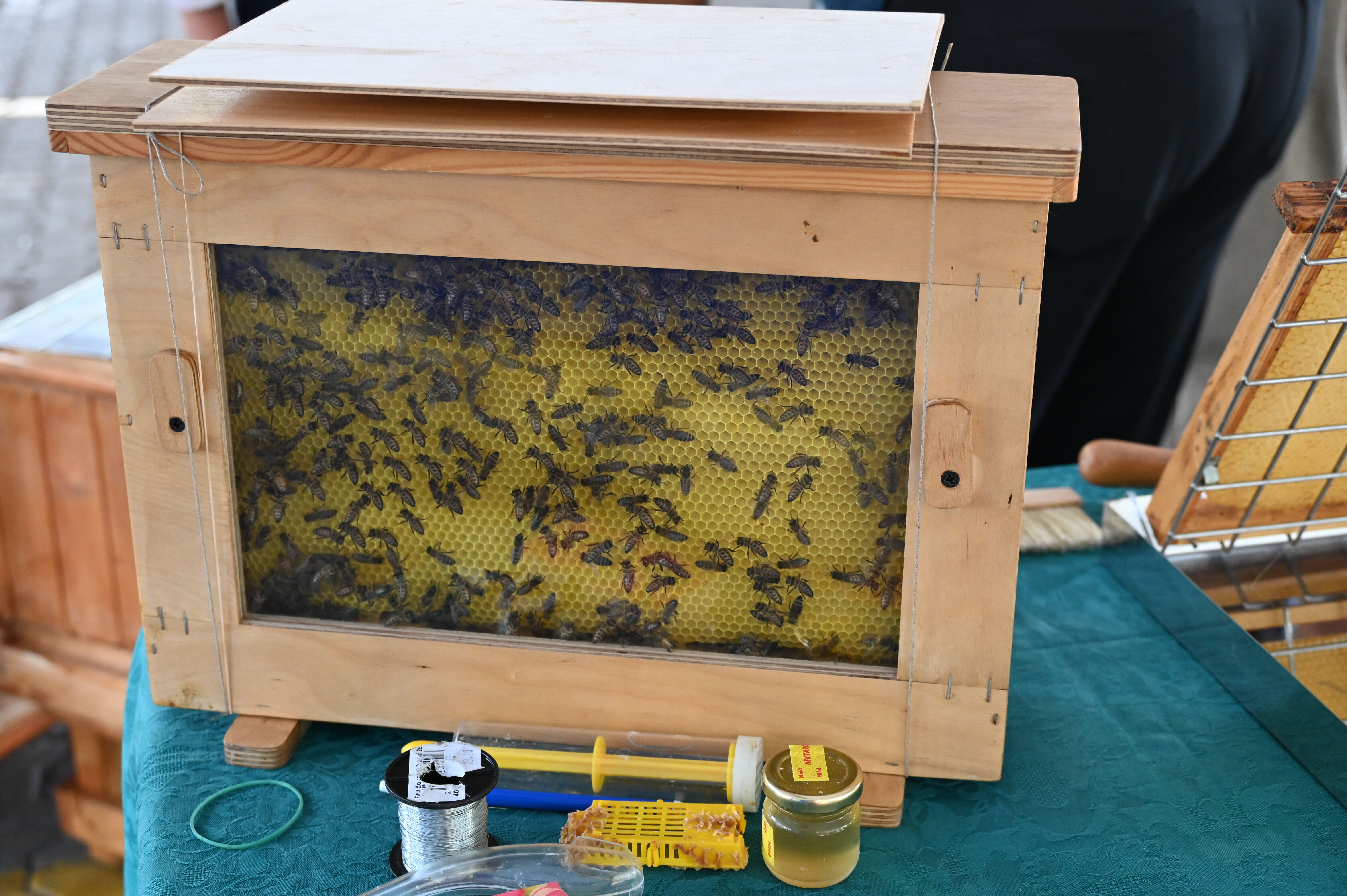 Drewniana ramka, a w niej duża grupa pszczół. Na stoliku inne stojące akcesoria i przedmioty.