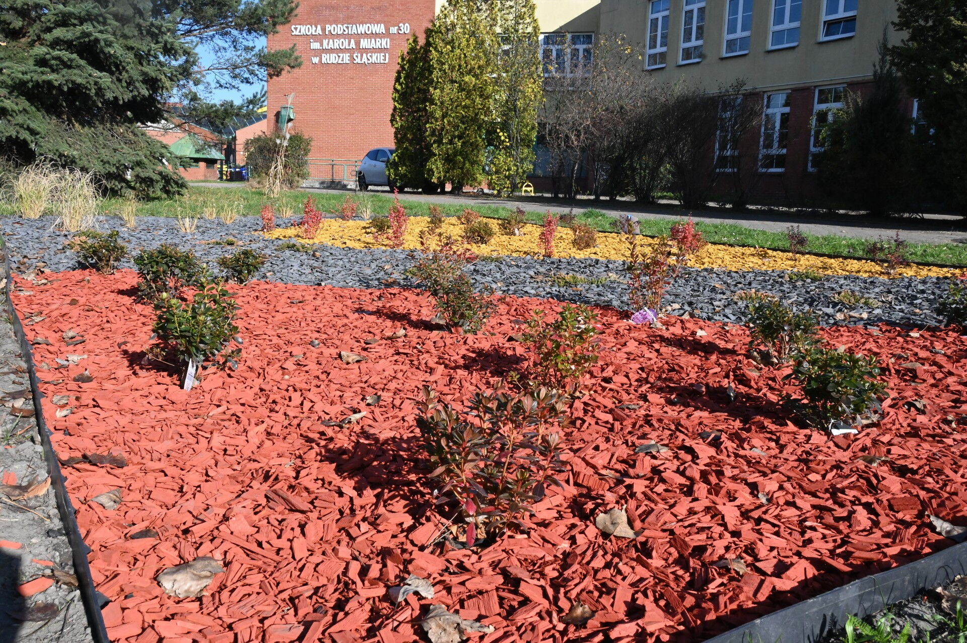 Zieleniec wyłożony kolorową korą, w tle drzewa i budynek z napisem "Szkoła Podstawowa nr 30 im. Karola Miarki w Rudzie Śląskiej".