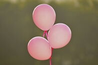 „Badamy nie tylko Mamy”