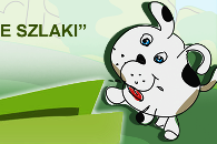 Dogtrekking w Rudzie Śląskiej