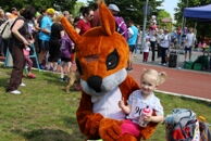 Wiewiórka na start! 