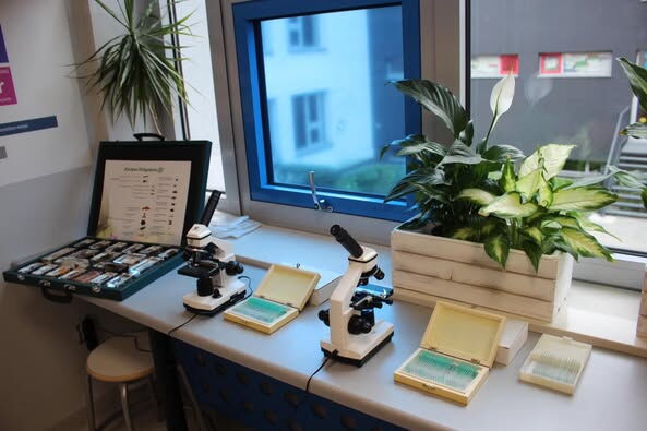 biurko z mikroskopami i próbkami do doświadczeń