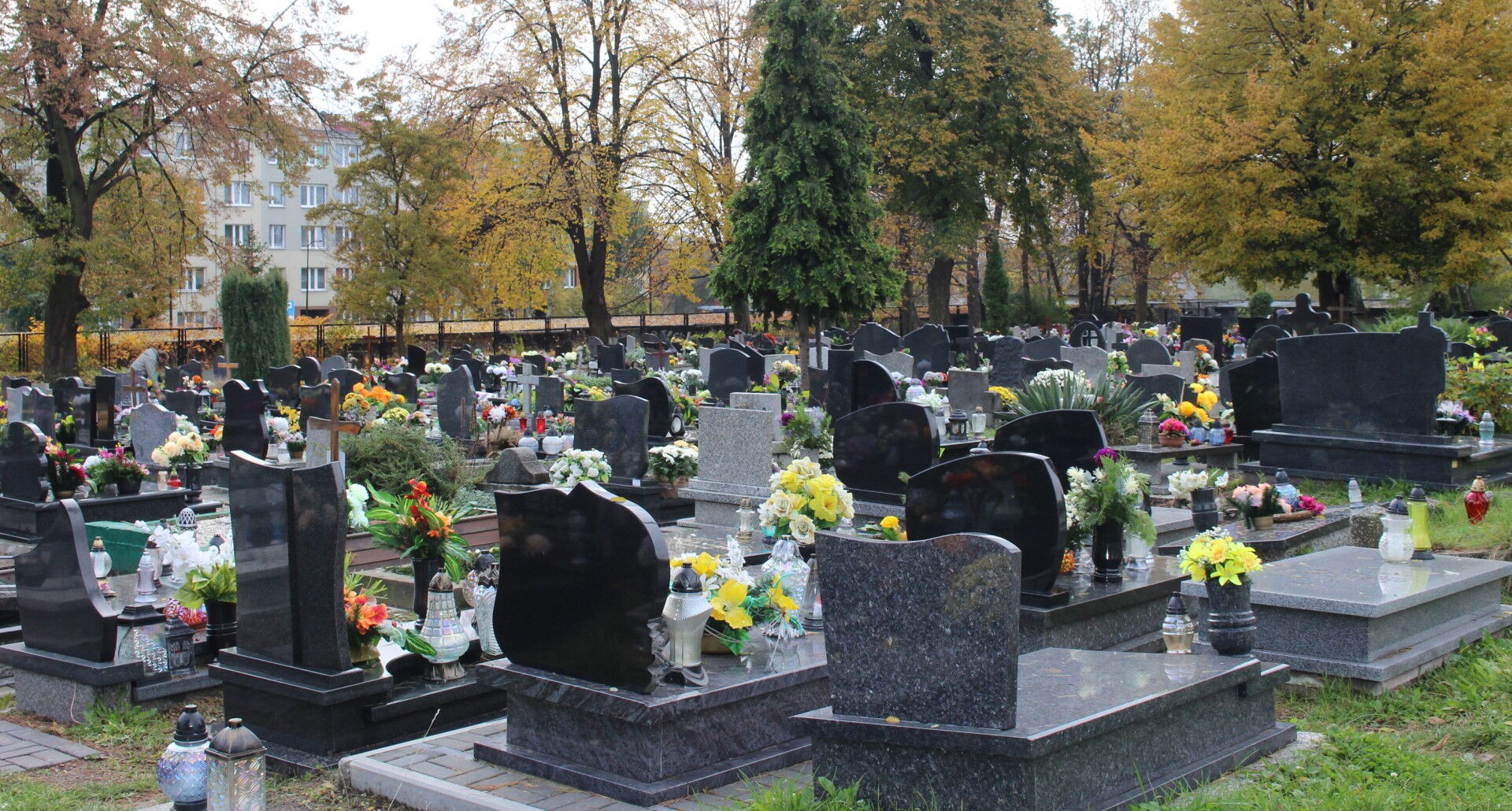 Cmentarz, w tle drzewa i budynek.