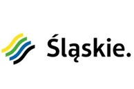 Projekt stypendialny "Śląskie. Inwestujemy w talenty"