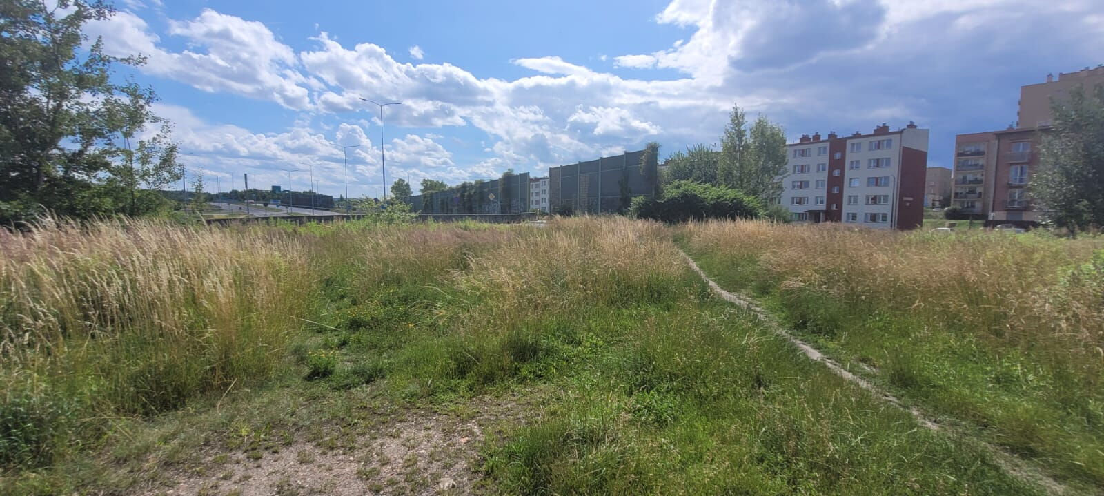 Trawa i bloki na tle nieba