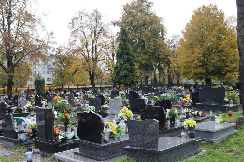 zdjęcie cmentarza, widok nagrobków od tyłu