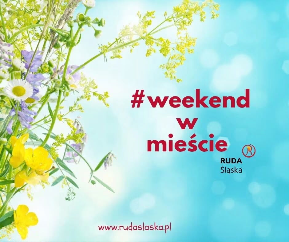 Grafika "#weekend w mieście Ruda Śląska". Bukiet polnych kwitów na błękitnym tle.
