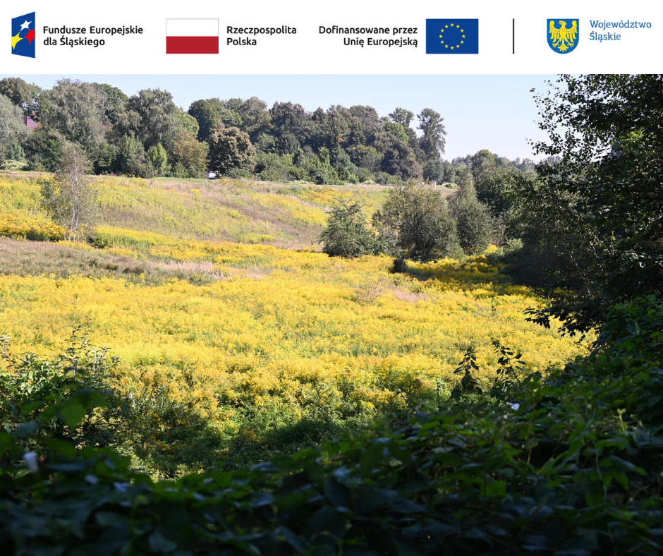 dolina rzeki Bytomki