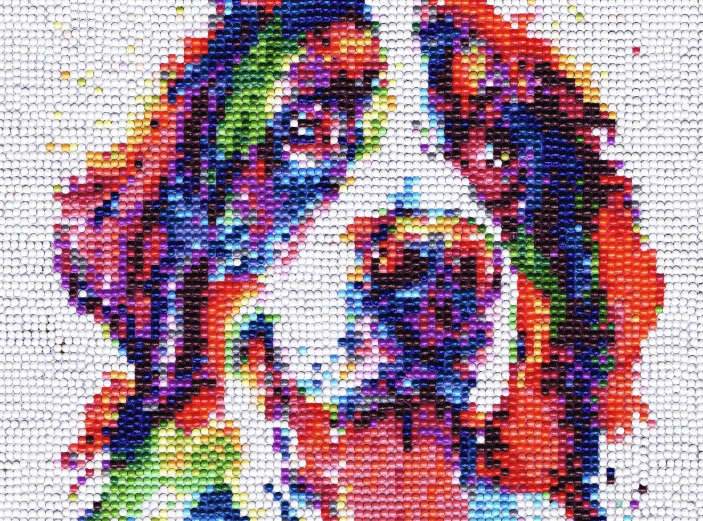 Podobizna psa na grafice zapowiadającej akcję.