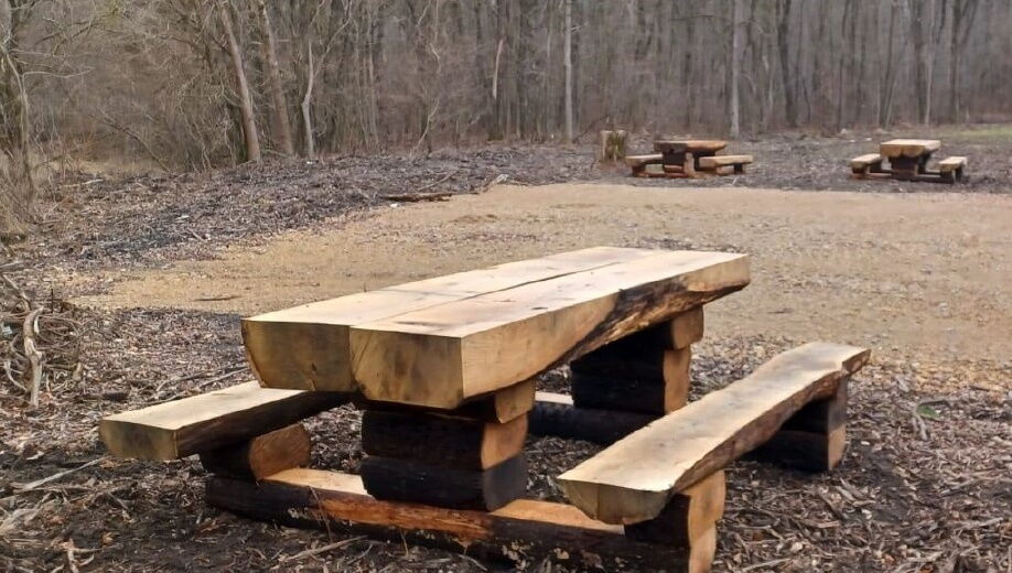 Nadleśnictwo Katowice o lasach Rudy Śląskiej