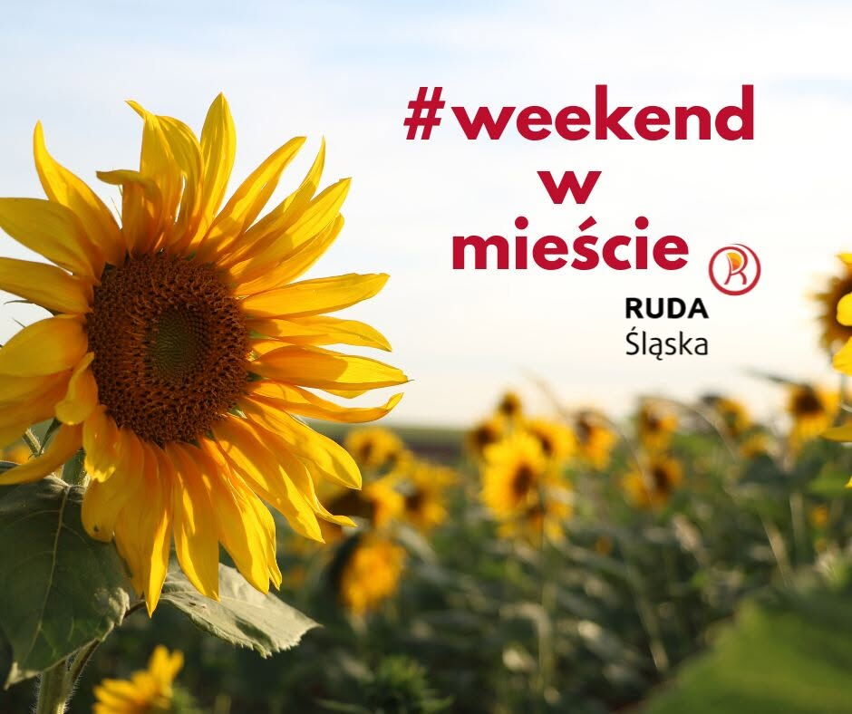 Obraz prezentuje kwiat słonecznika na tle pola słoneczników, oraz napis "#weekend w mieście" wraz z logiem Rudy Śląskiej
