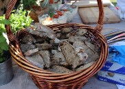 Wiosennie przy Piekaroku! [FILM]