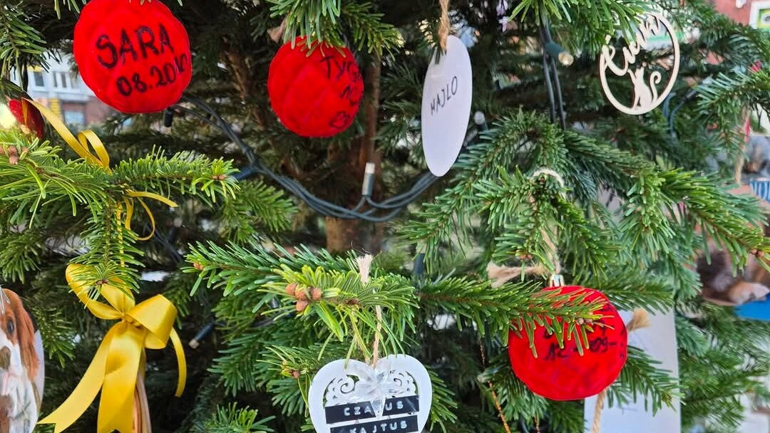 Choinka z ozdobami z imionami zwierząt.