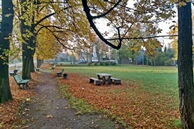 Kochłowickie planty wypięknieją