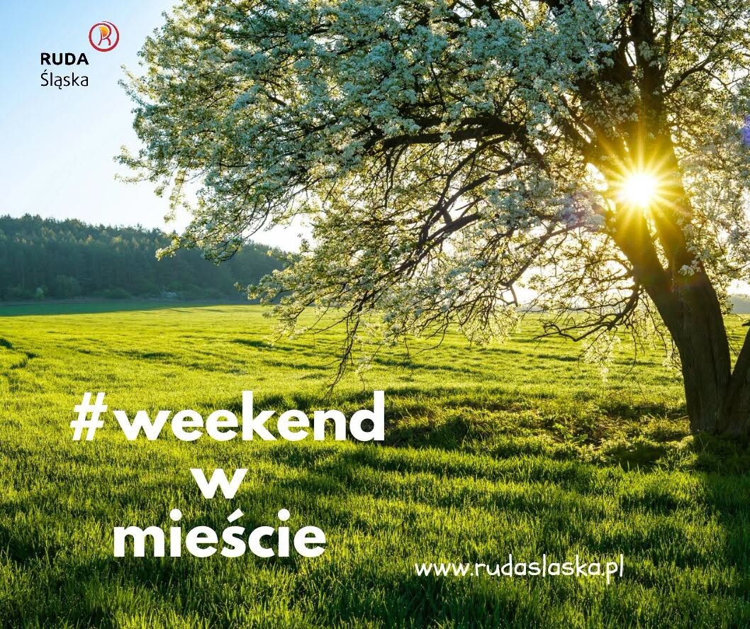 Grafika "#weekend w mieście Ruda Śląska". Na pierwszym planie drzewo a w tle łąka.