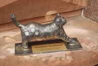 Pierwsze koty za płoty