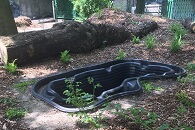 Leśny zakątek w Kłodnicy