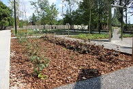 Park zyskał nowe oblicze