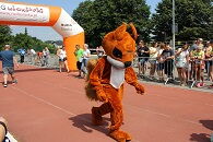 "Bieg Wiewiórki" przed nami