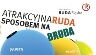 "Śmieciowa rewolucja" w Rudzie Śląskiej [FILM]