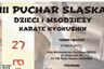 Puchar Śląska Karate Kyokushin