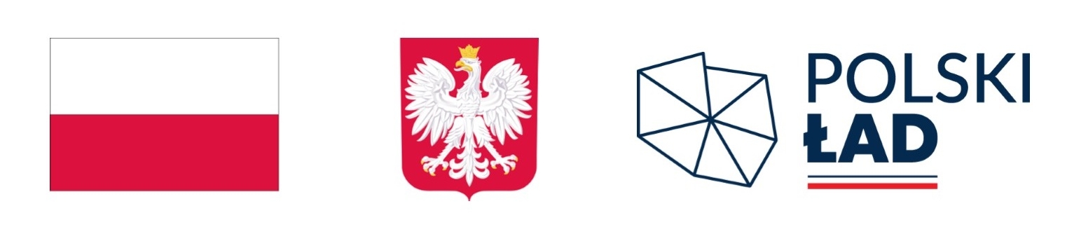 Flaga Polski, godło Polski, logotyp Polski Ład.