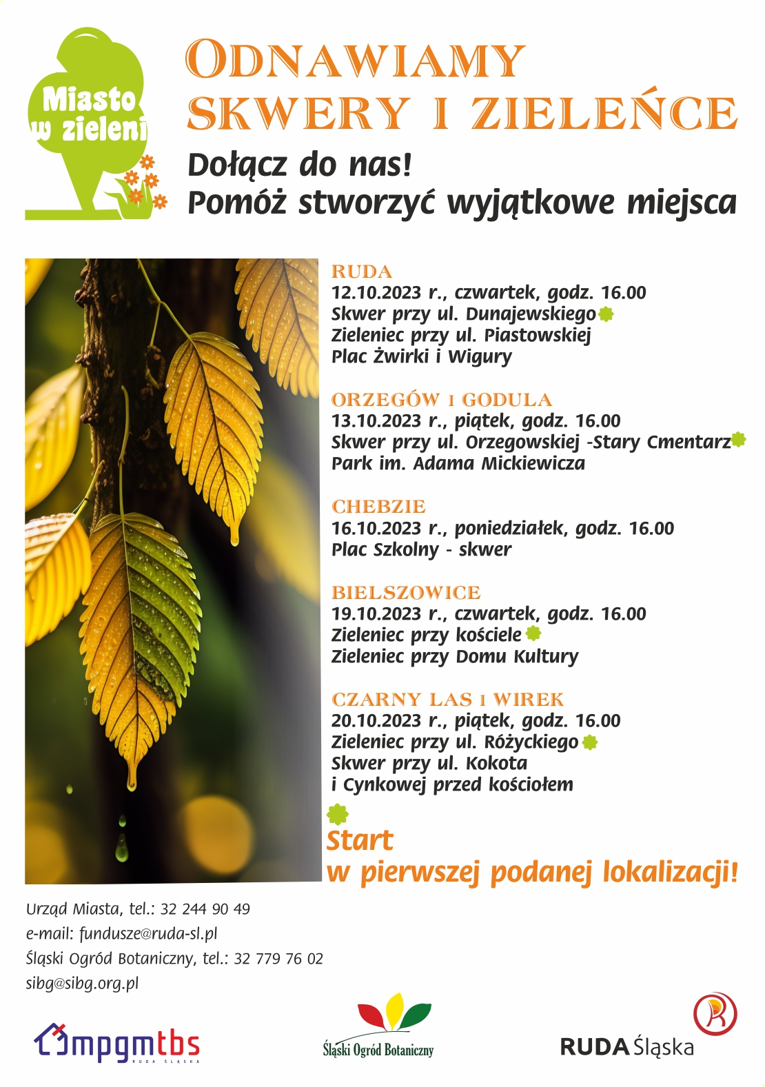 Plakat z harmonogramem konsultacji w sparwie renowacji zieleńców.